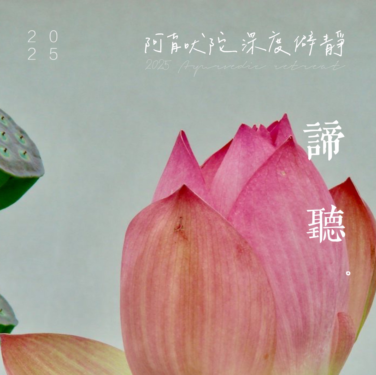 2025秋|諦聽|阿育吠陀僻靜營